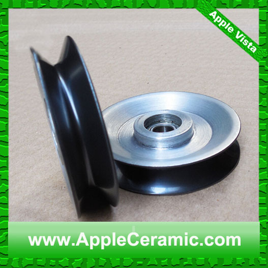 coating pulley (12)