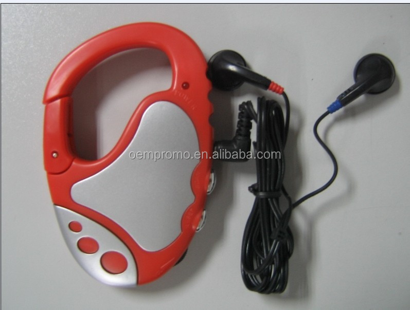 Carabiner Radio Light.jpg