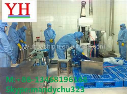 new crop standard grade quality dehydrated garlic powder