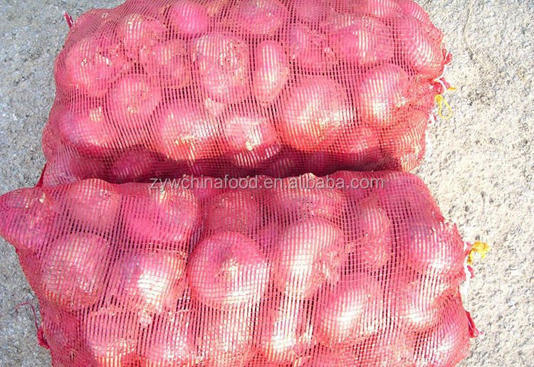Fresh Onion Red Onion Good Taste For Hot Sale