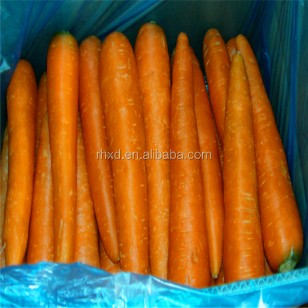 2014 New Crop freezing fresh carrots