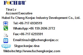 wholesale high quality Dried noodles instant Konjac Noodles shirataki noodles
