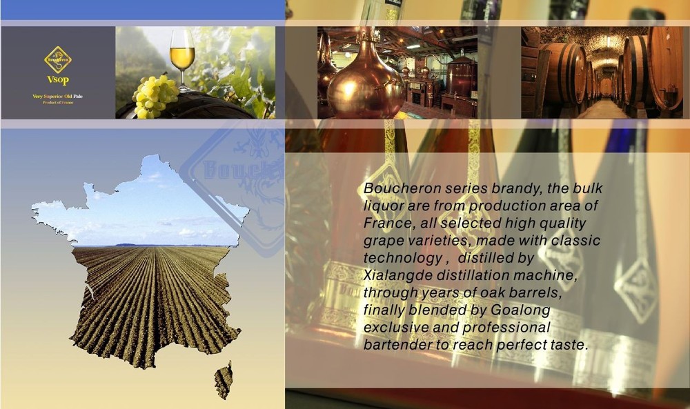 Goalong majoy in OEM and ODM brandy brandy vsop