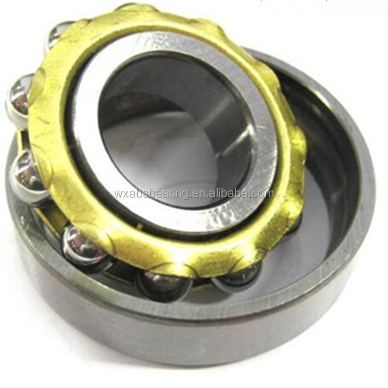 High Quality Nsk Bearing Copper Cage Ball Bearing E8