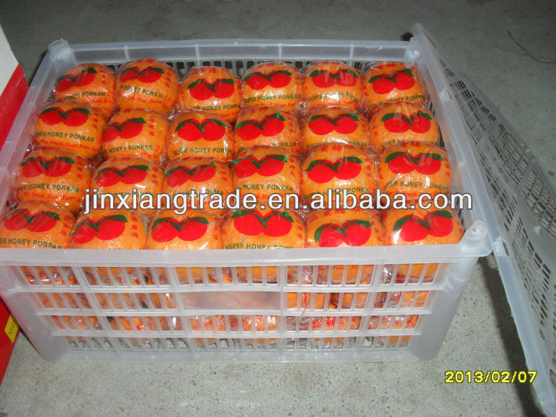2014 newest fresh mandarin orange in china
