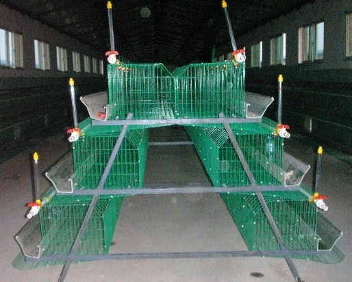 Chinese chicken coop pvc bird breeding cages,a-type automatic spray 