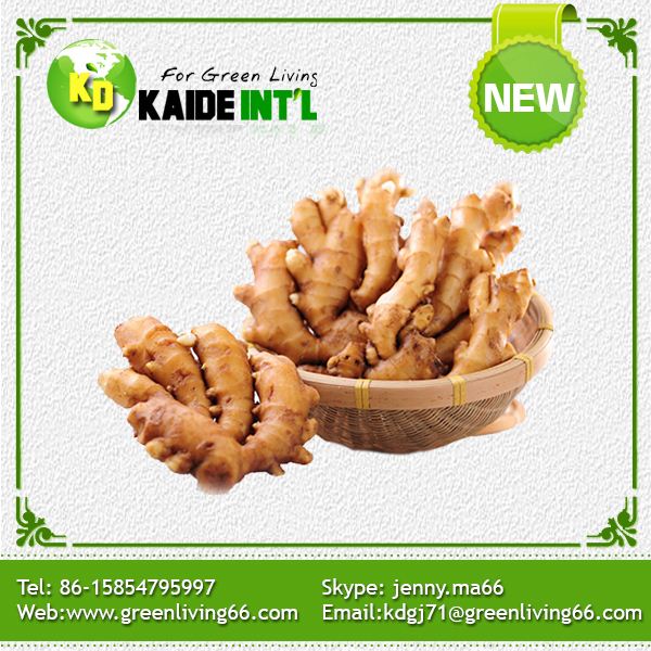 Excellent Fresh Ginger From Shandong China Product