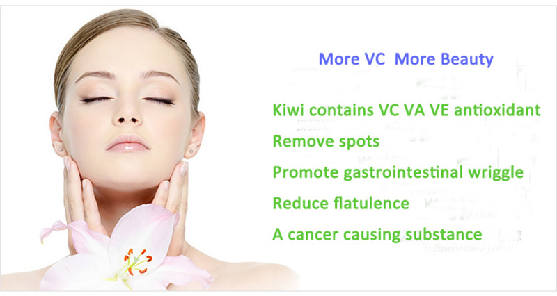 Aloe Vera Extact /Aloe Emodin/Aloe Vera Forever Living Products