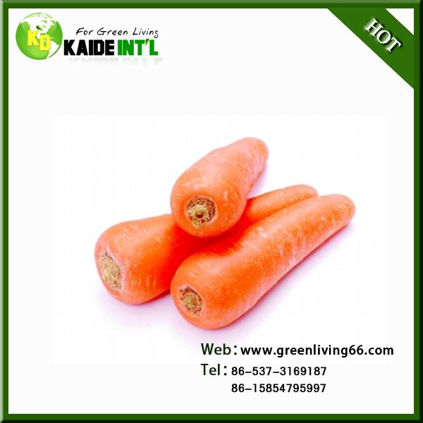Organic Bulk Carrots For Market