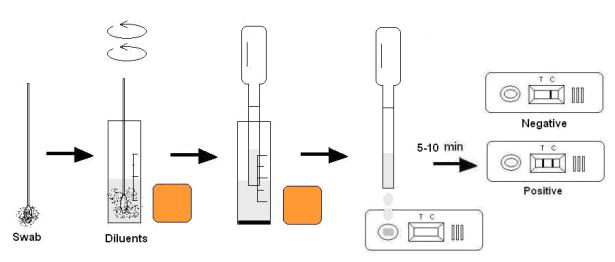 Rohiニューカッスル病ウイルス抗原迅速検査/養鶏場のための診断に迅速検査仕入れ・メーカー・工場