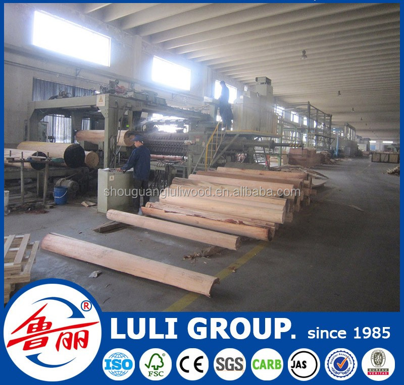veneer-117-LULI GROUP.jpg