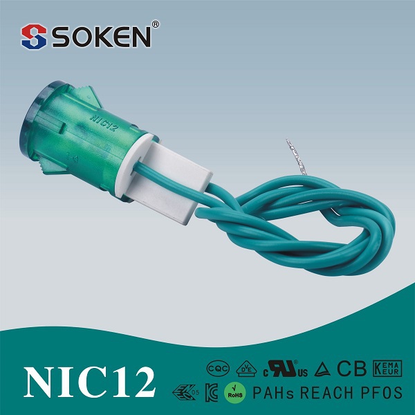 NIC12-A1.jpg