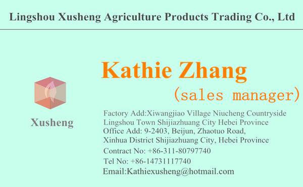 Dried shiitake mushroom Wild mushroom Fresh mushrooms dry mushrooms Wholesale(B)