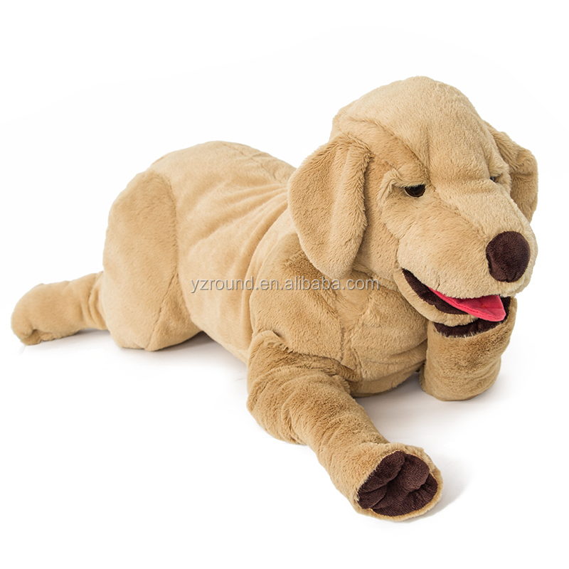 dog10.jpg