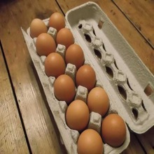 環境パルプモールド卵用パッキン仕入れ・メーカー・工場