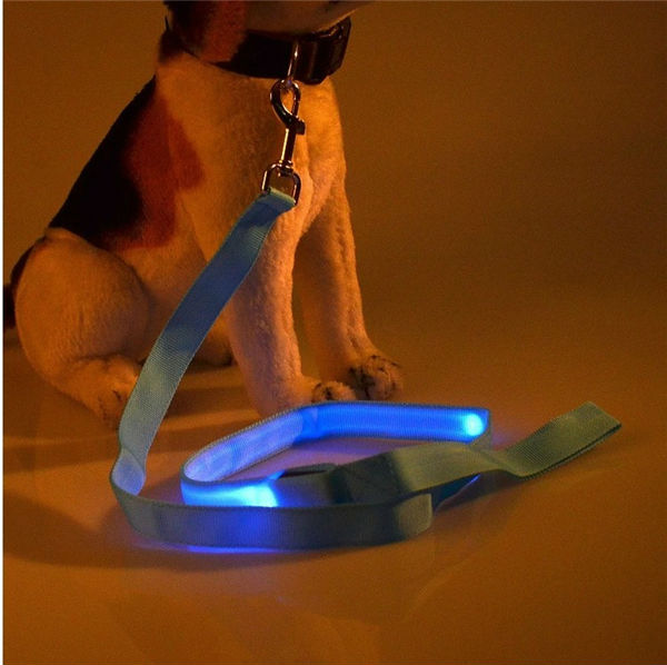新しい安価な2014年卸売製品のためのペットショップ率いる犬の綱問屋・仕入れ・卸・卸売り