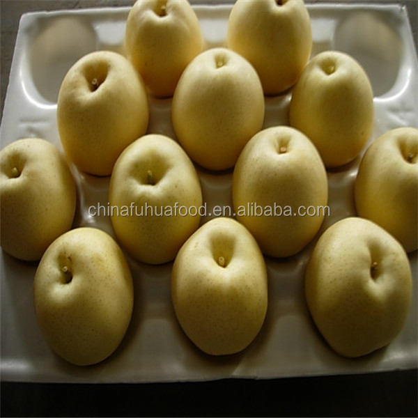 2014 New Crop Pear