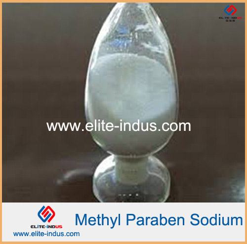 Pharmaceutical Industry Additives Sodium Methylparaben Msds
