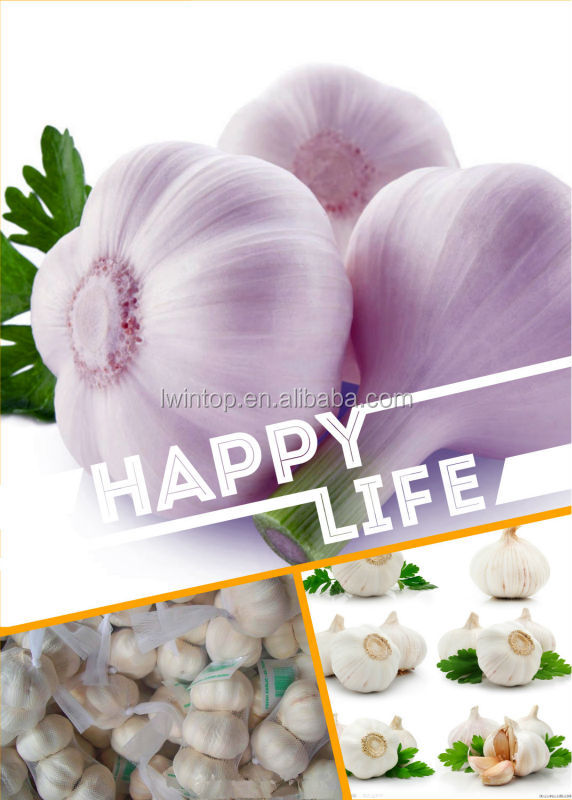 sell Natural garlic/Nice garlic/White garlic