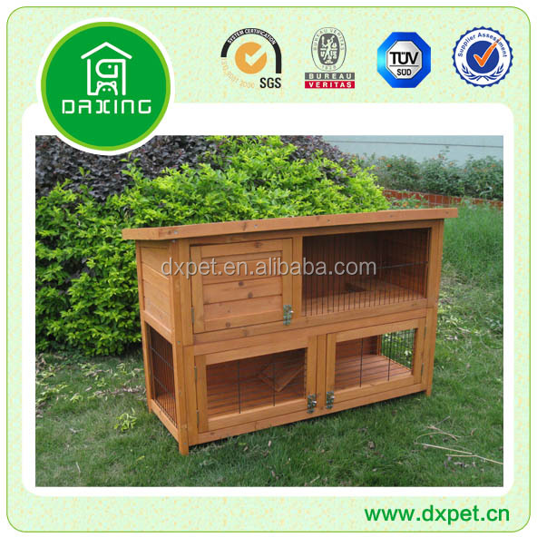 DXR016.jpg