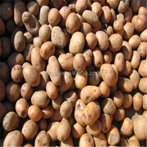 2014 shaanxi fresh potato bulk