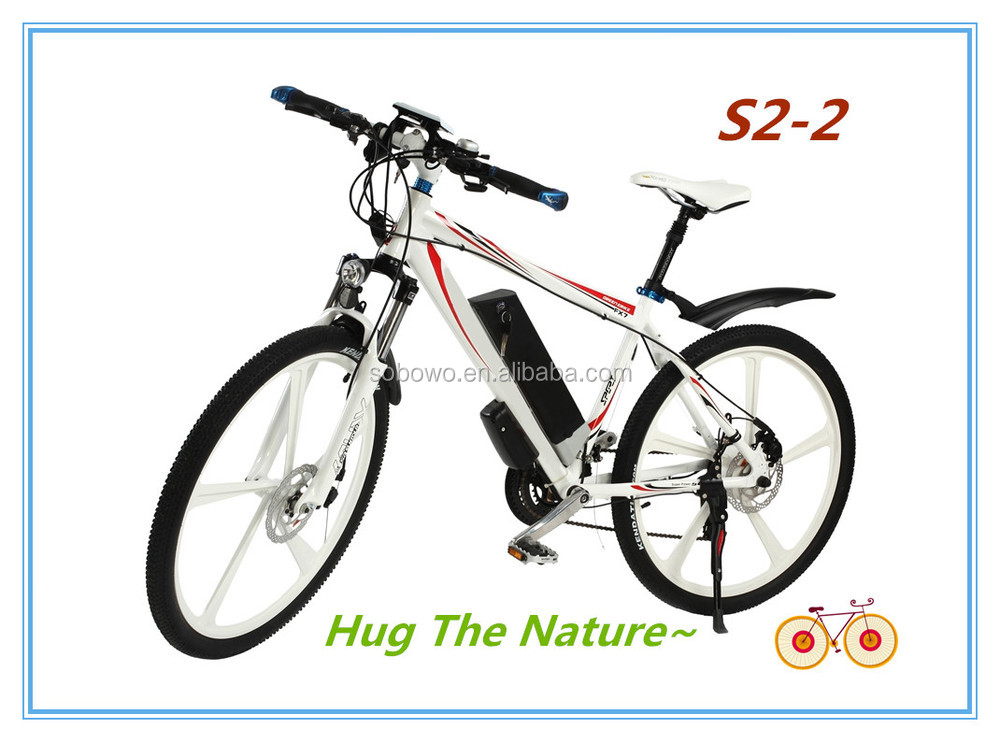 electric bicycle