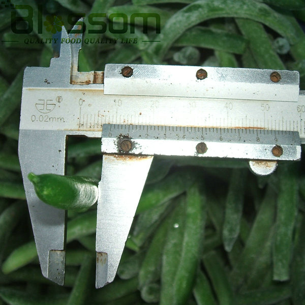 China top quality frozen green bean new crop names all fruit vegetables