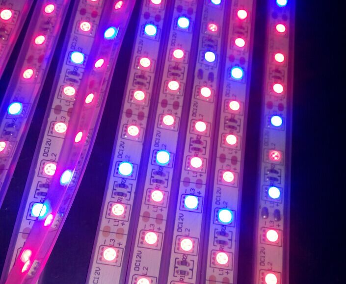 Ledストリップライト5050高品質防水ledストリップを育てる主導仕入れ・メーカー・工場
