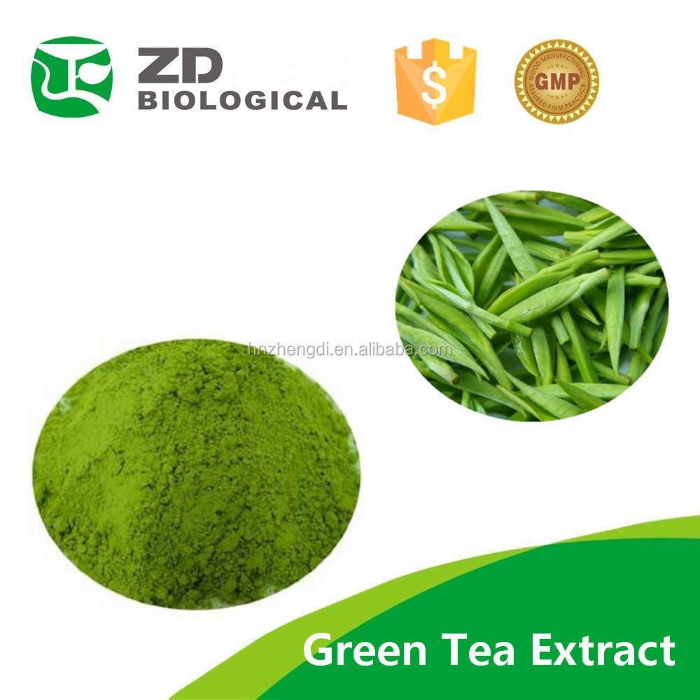 Green Tea Extract,Polyphenol/catechins/,Egcg/ltheanine Buy Green Tea
