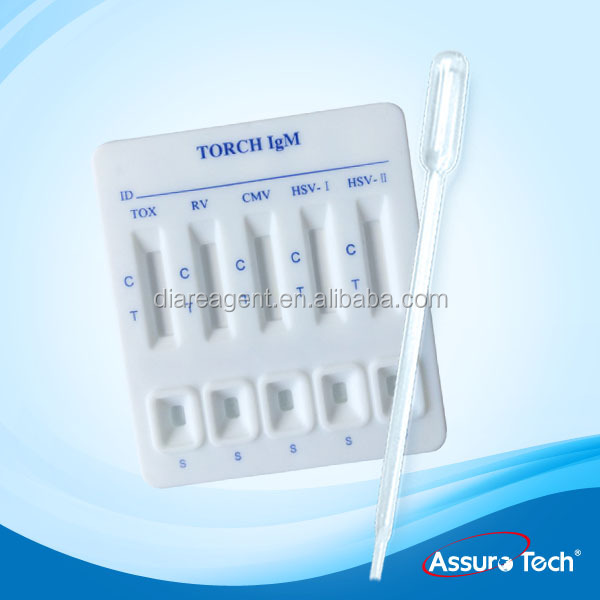 TORCH-3.jpg