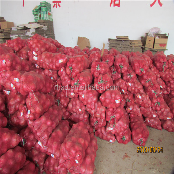 new crop onion red onion the lowest onion the cheapest onion fresh vegetable manufacturer factory farm