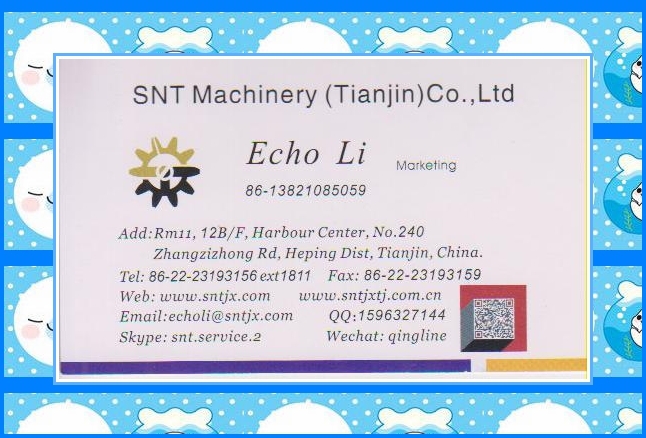 15 tons/day Industrial Stick Rice Noodle Processing Machine
