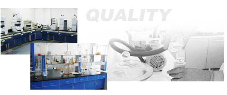 food additive polydextrose manufacturer/exporter/supplier