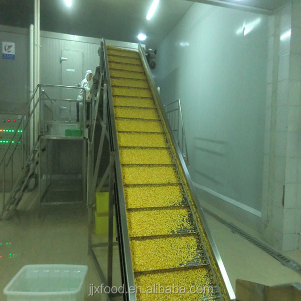 Frozen Lotus Root Slice with High Quality