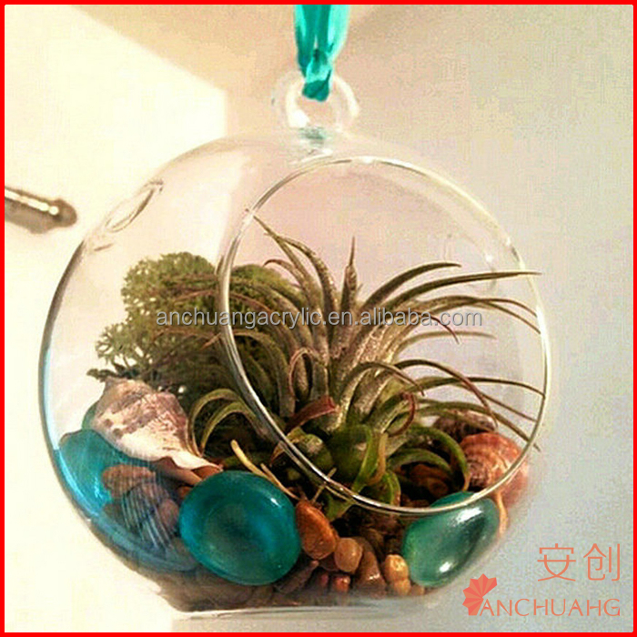 Acrylic Hanging Terrarium Te01 Buy Plastic Terrarium Product on