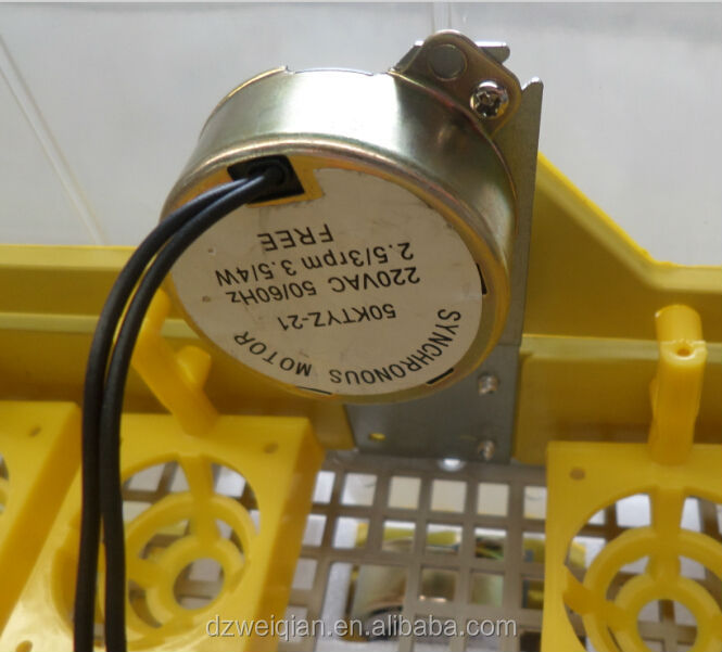 QQ20140705165034.jpg