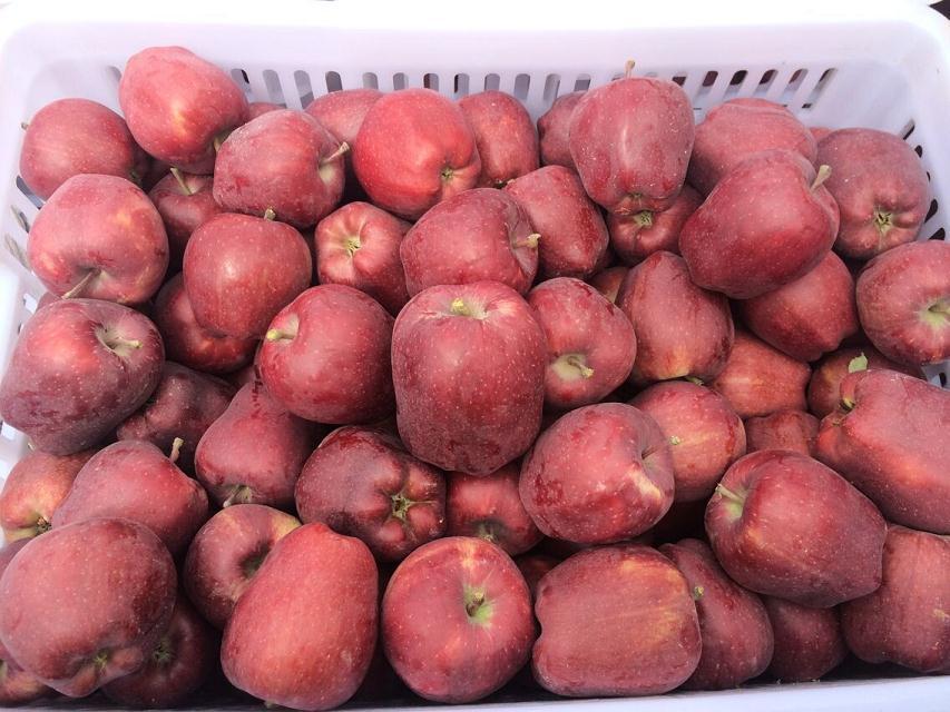 huaniu apple09