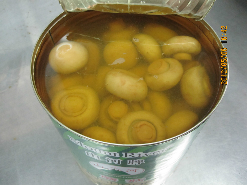 Popular canned mushrooms manufacturer