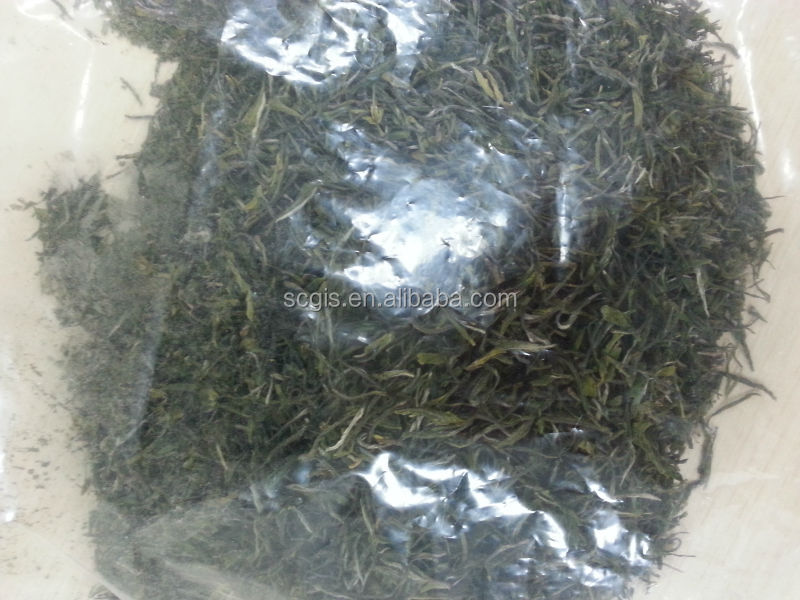 China famous green tea
