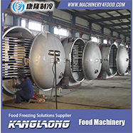 1000kg/h meat vacuum freeze dryer with competitive price