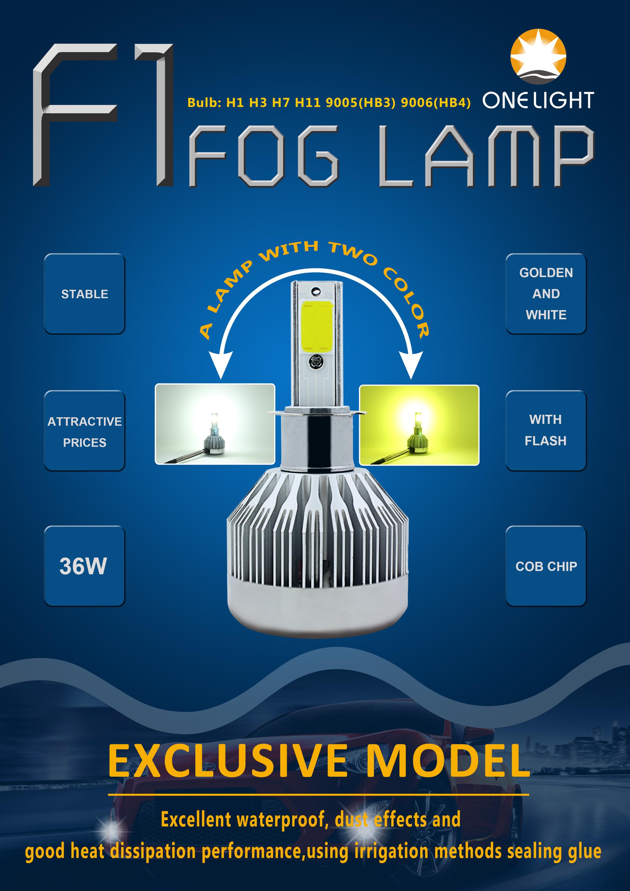 F1 fog lamp.jpg