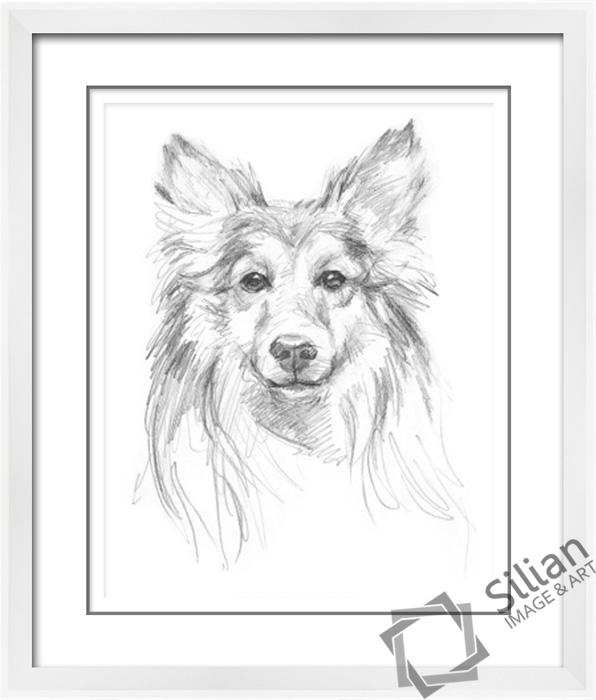 2014 Newest Black And White Pencil Dog Sketch Paintings With Home