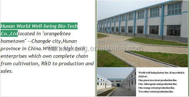 High Quality cocoa extract powder cacao theobromine/extract cacao theobromine