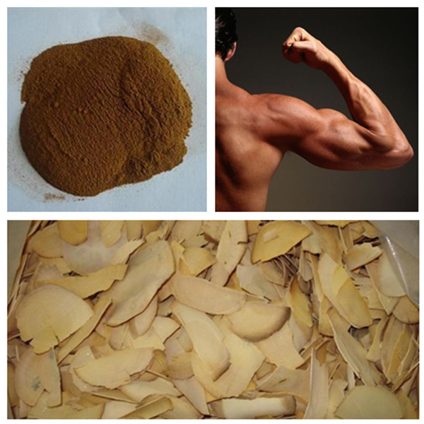 natural polyphenols cinnamon extract powder, pure natural plant extracts