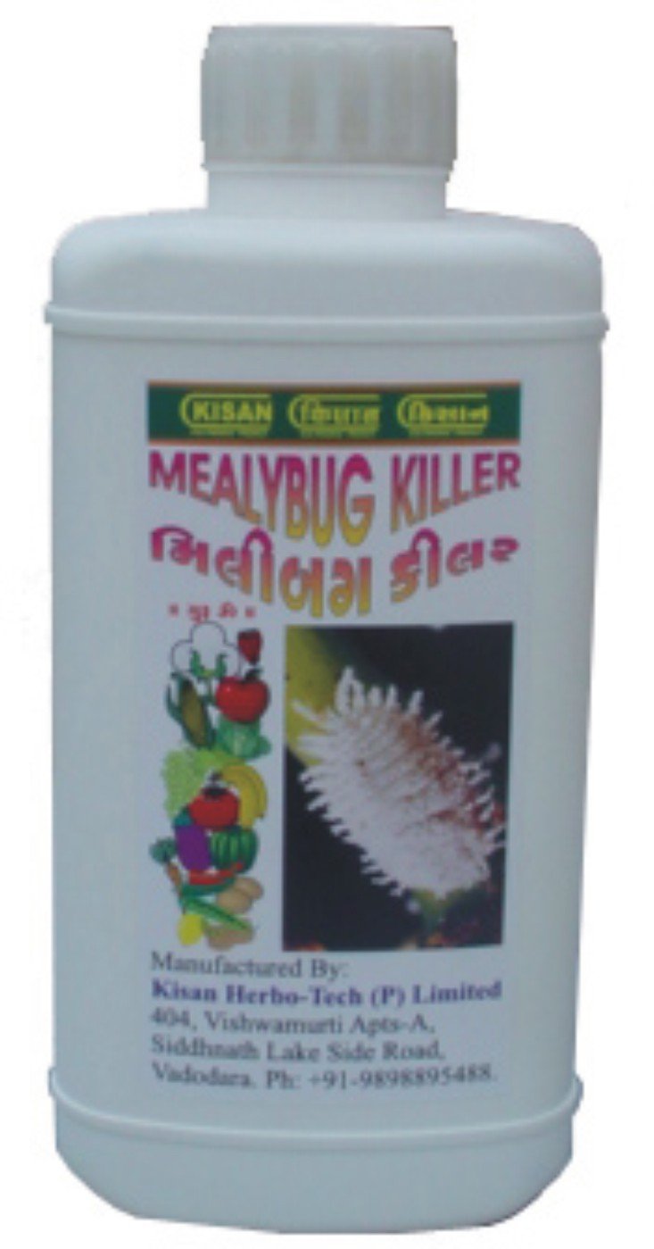 Mealybug Killer Buy Pesticide Product on