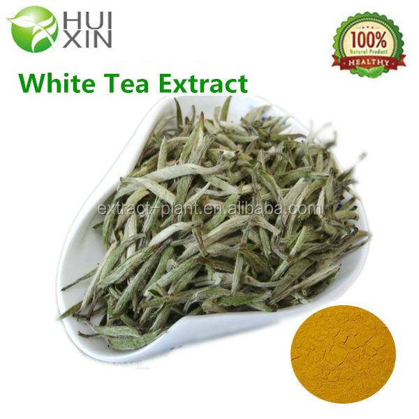 Samples Free White Tea Extract Tea Polyphenols 30%