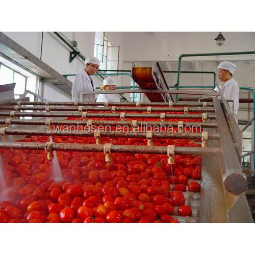 Gino tomato paste bulk price in drum supplier