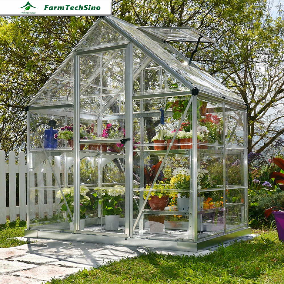 Farmtechsino Backyard Hobby Greenhouses Garden Green House