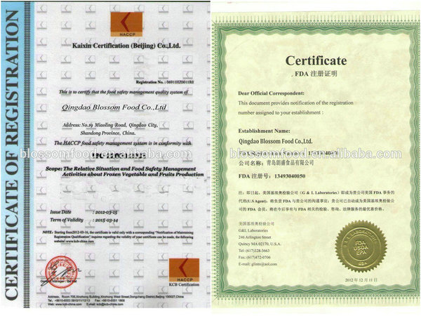China frozen vegetables IQF red or green or yellow bell color pepper