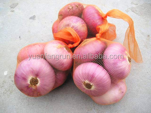 Fresh red onion